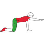 back-stabiliser-500x500