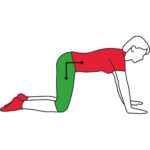 deep-stomach-muscle-tone-500x500