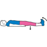 quad-exercise-500x500