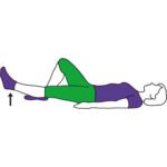 straight-leg-raise-lying-500x500