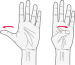 thumb-stretch-500x432